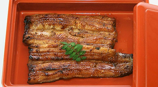 鰻料理のメニュー